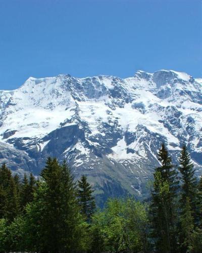 我愛旅行|阿爾卑斯山