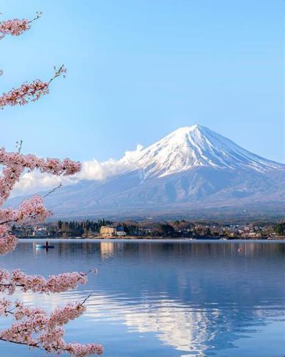 東京.靜岡.豪奢營帳