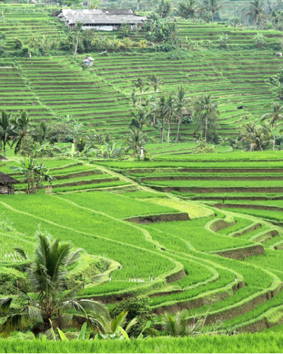 峇里島東部.小團出發
