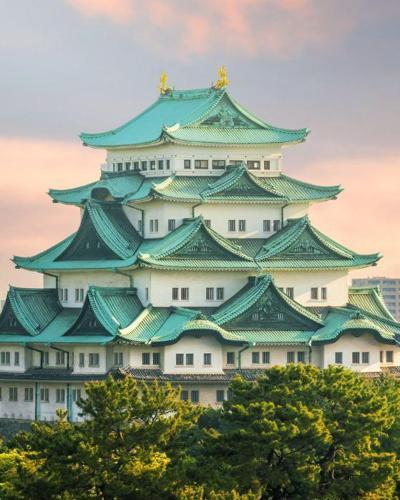 🏯 魅力中部・名城風雅