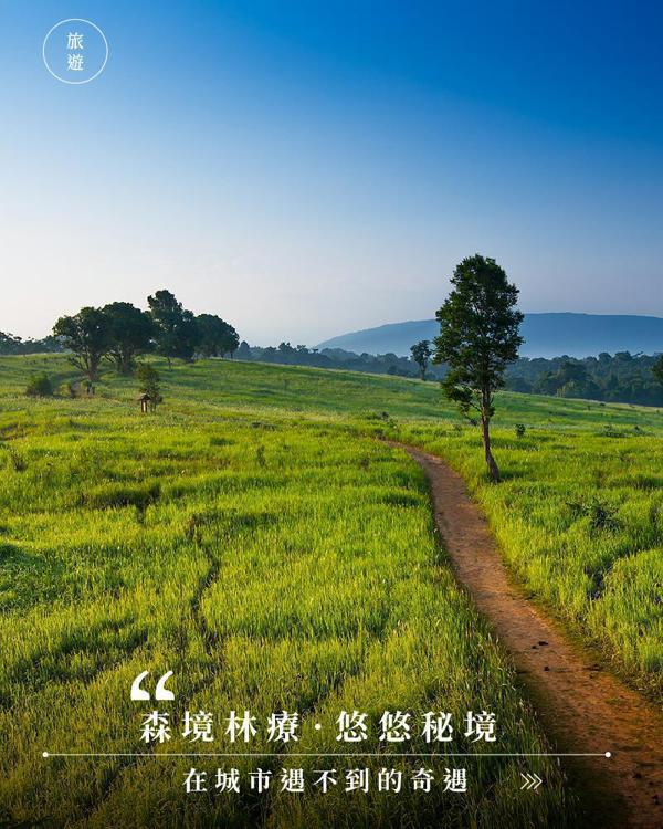泰國.考艾.森呼吸