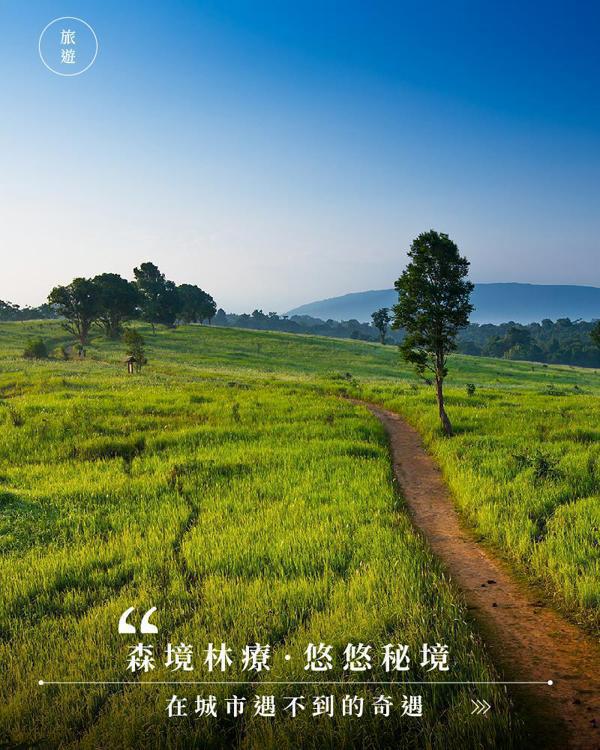泰國.考艾.森呼吸
