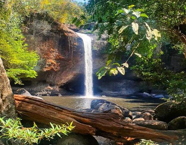 【考艾慢遊】森境林療.悠悠秘境5日